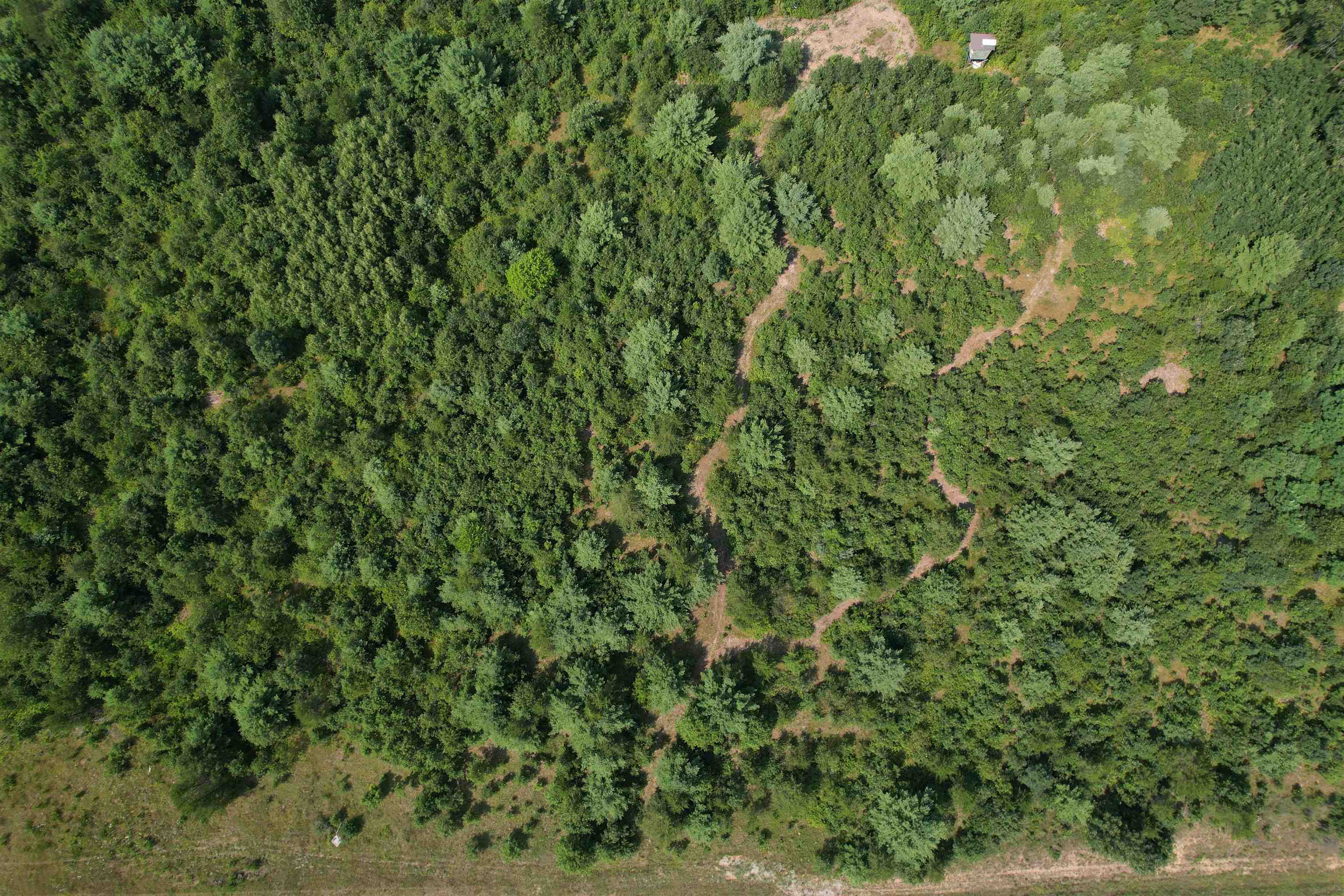 0 State Highway Friendship, WI 53934 - Photo 19 of 39