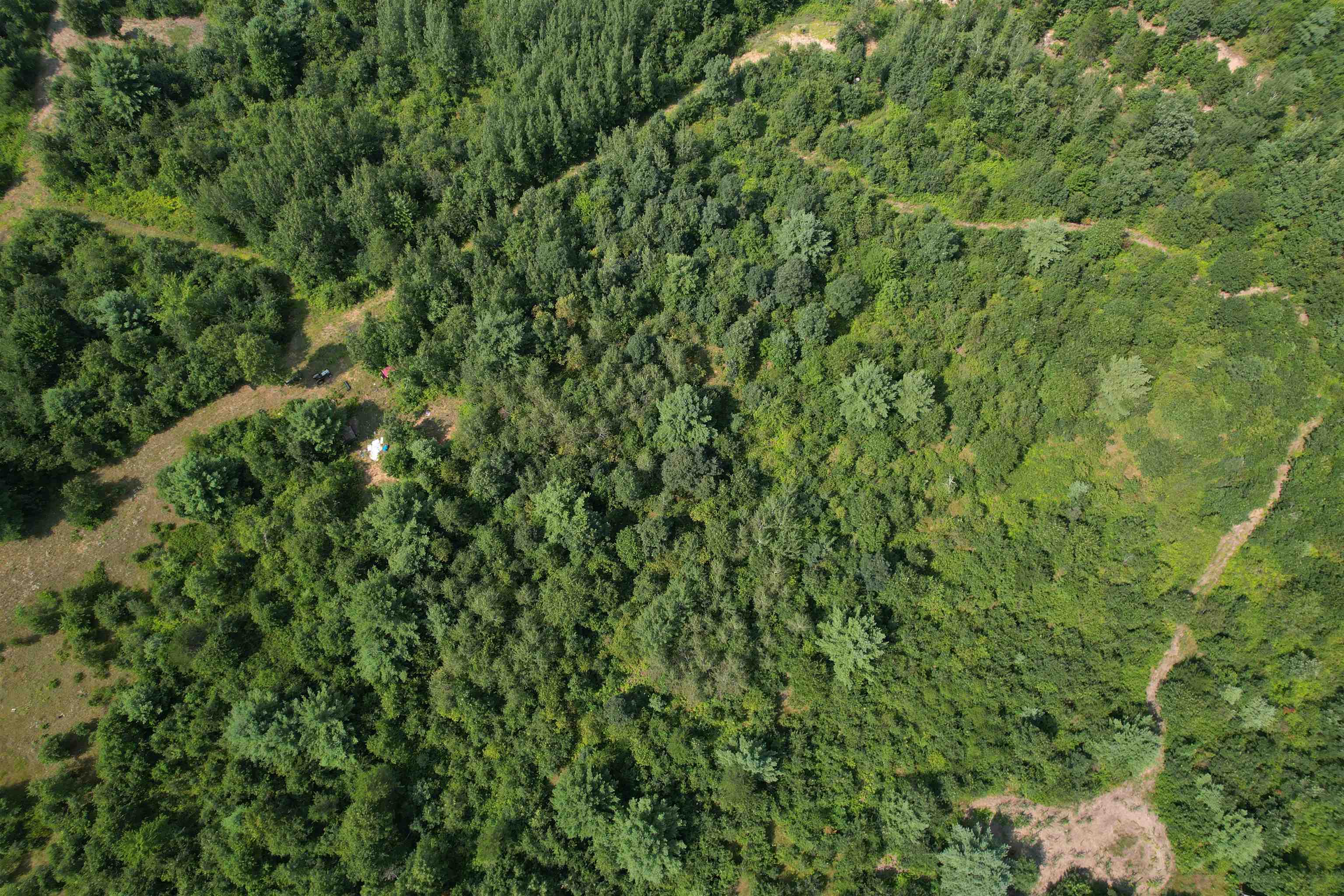 0 State Highway Friendship, WI 53934 - Photo 20 of 39