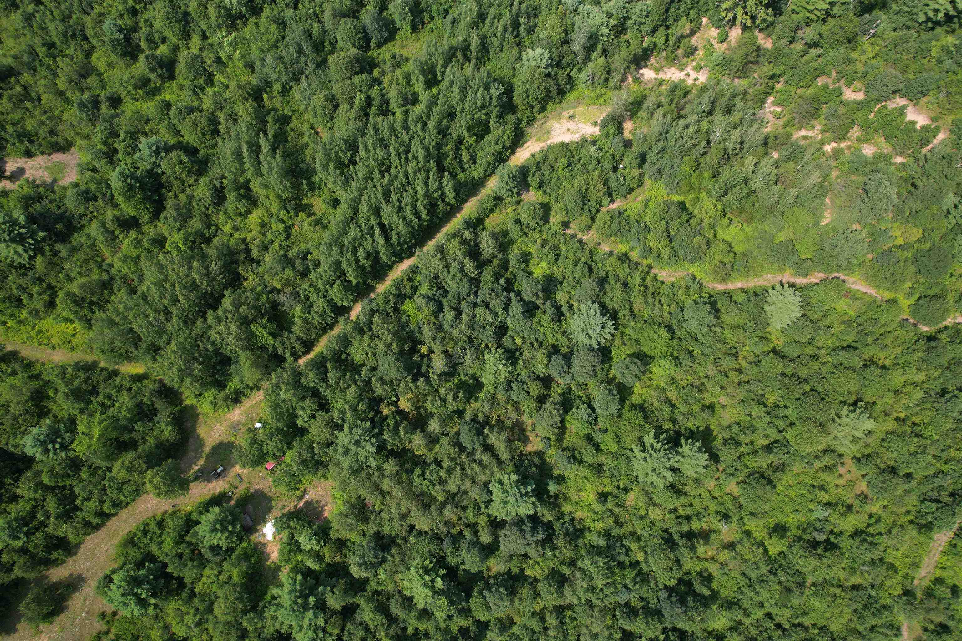 0 State Highway Friendship, WI 53934 - Photo 21 of 39