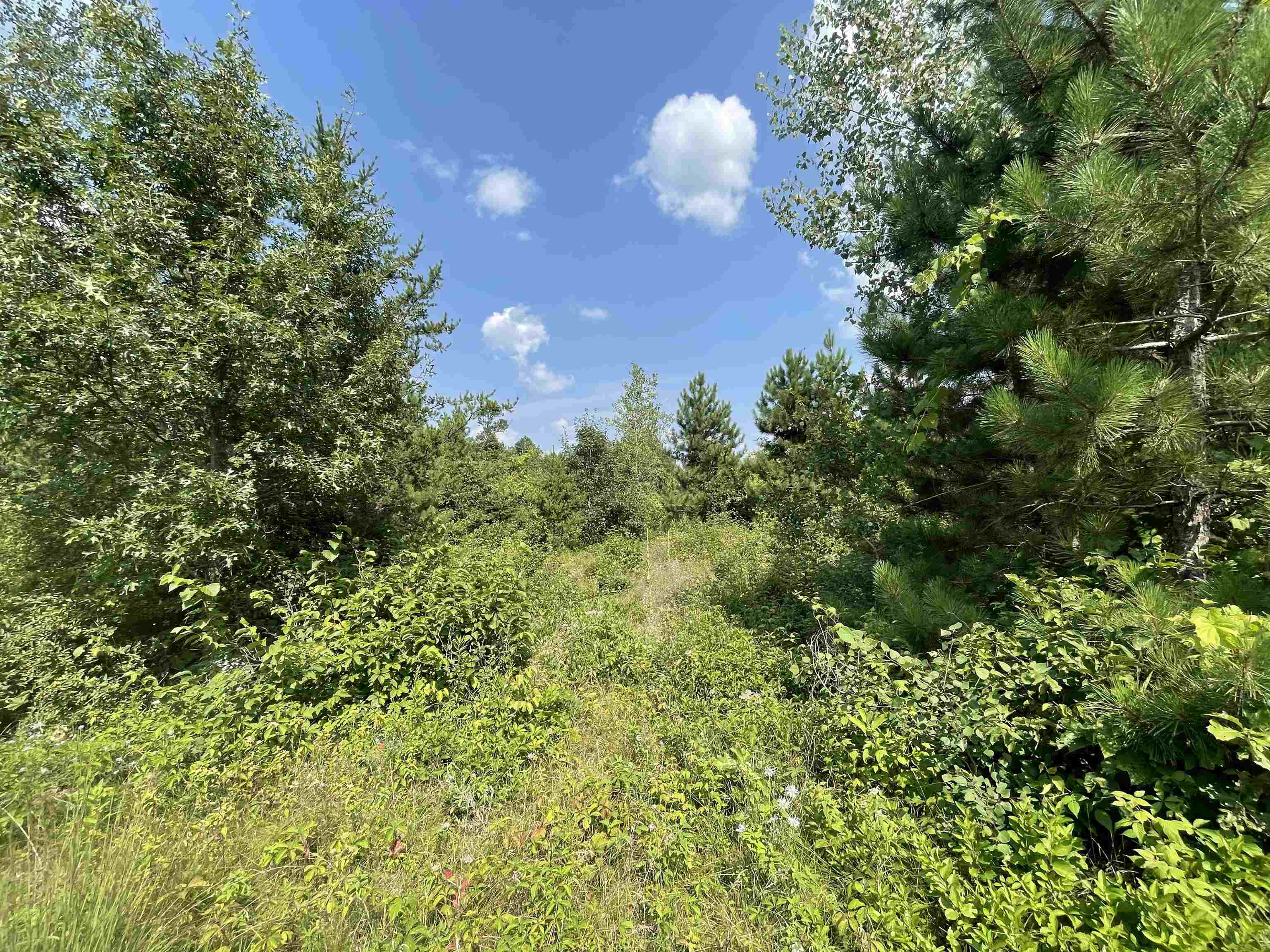 0 State Highway Friendship, WI 53934 - Photo 30 of 39