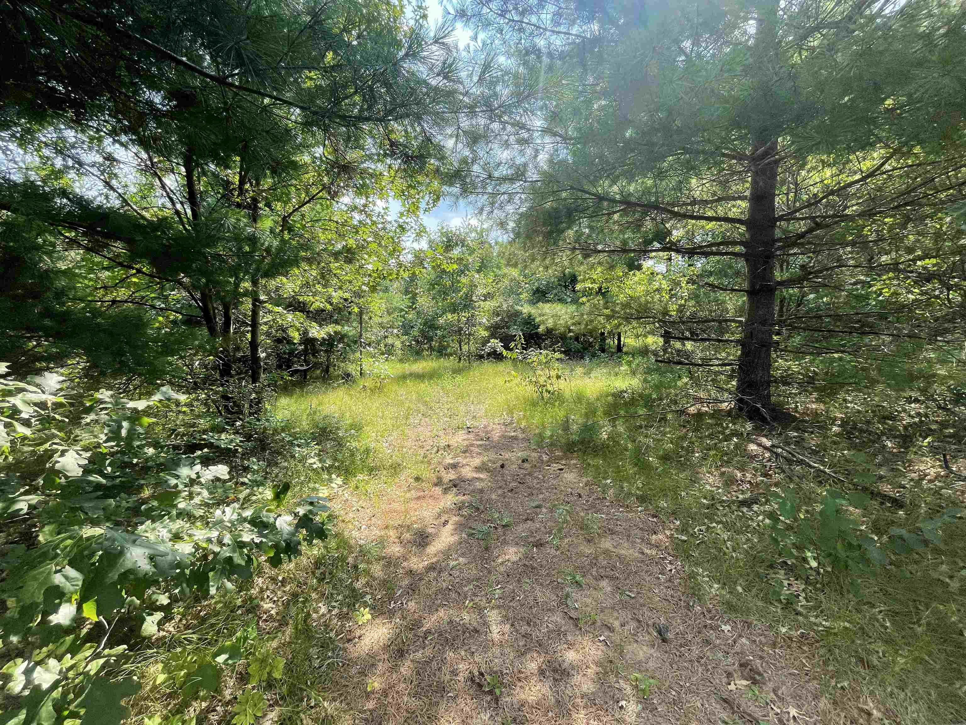 0 State Highway Friendship, WI 53934 - Photo 31 of 39