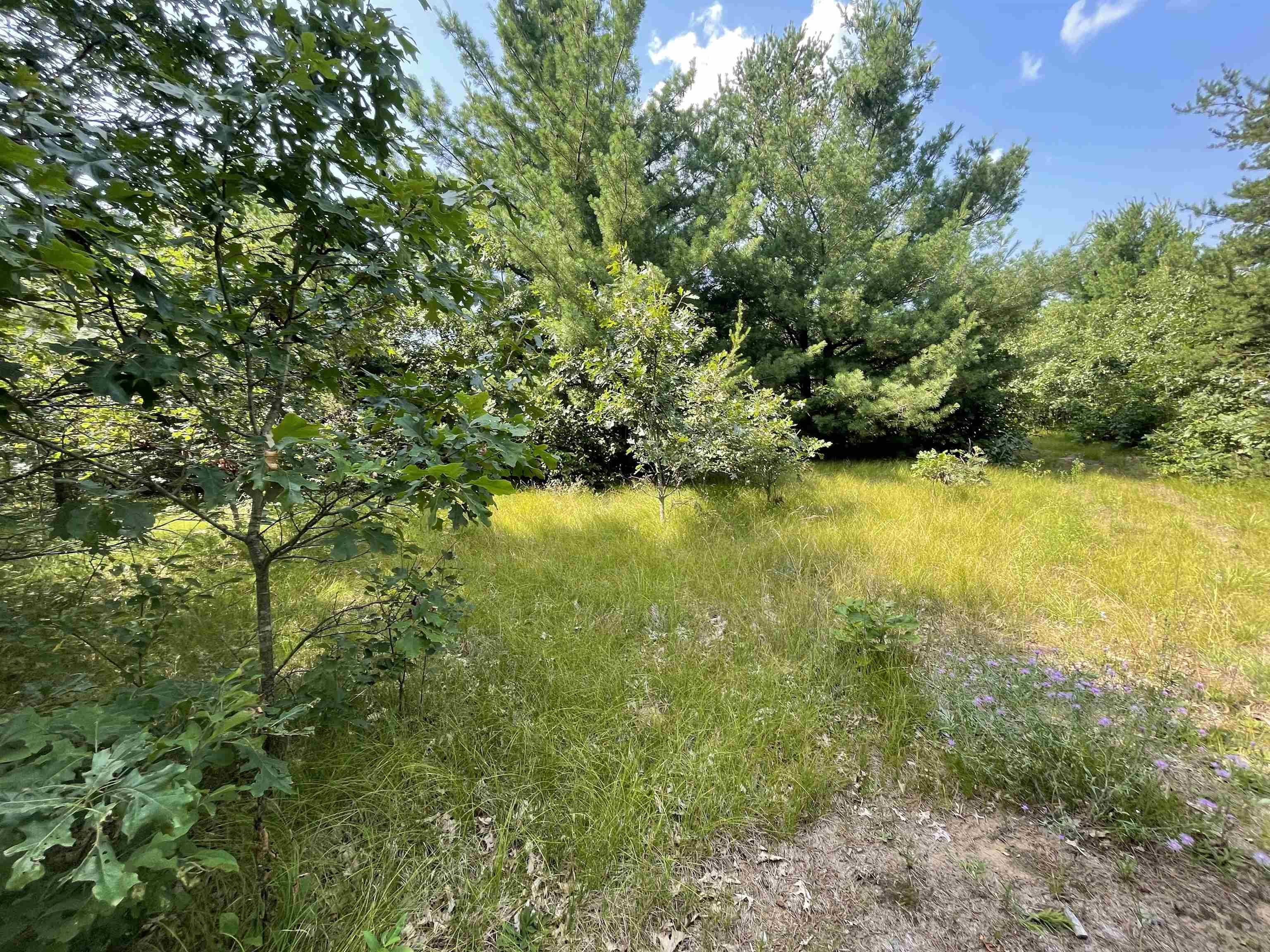 0 State Highway Friendship, WI 53934 - Photo 32 of 39