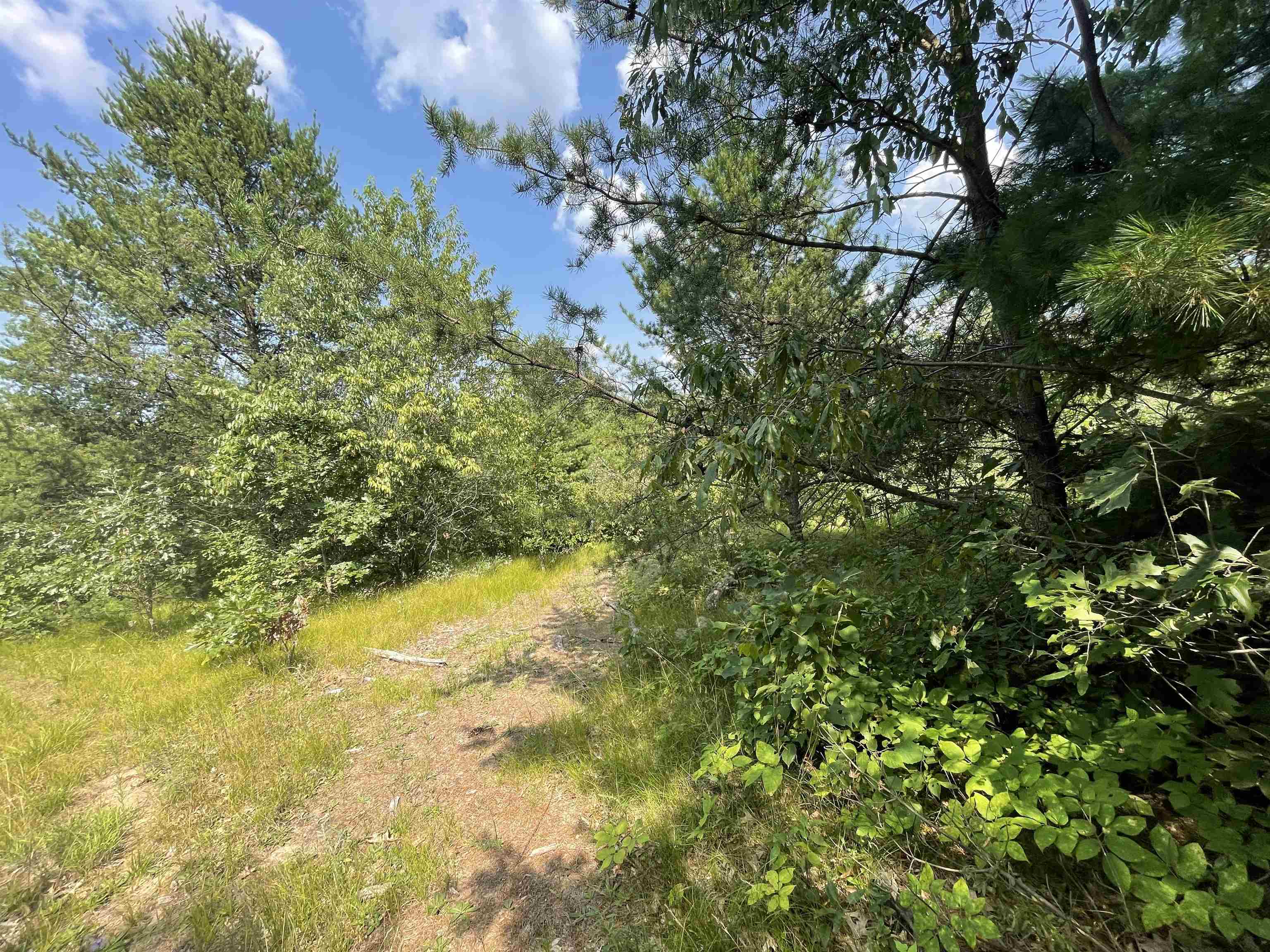 0 State Highway Friendship, WI 53934 - Photo 33 of 39