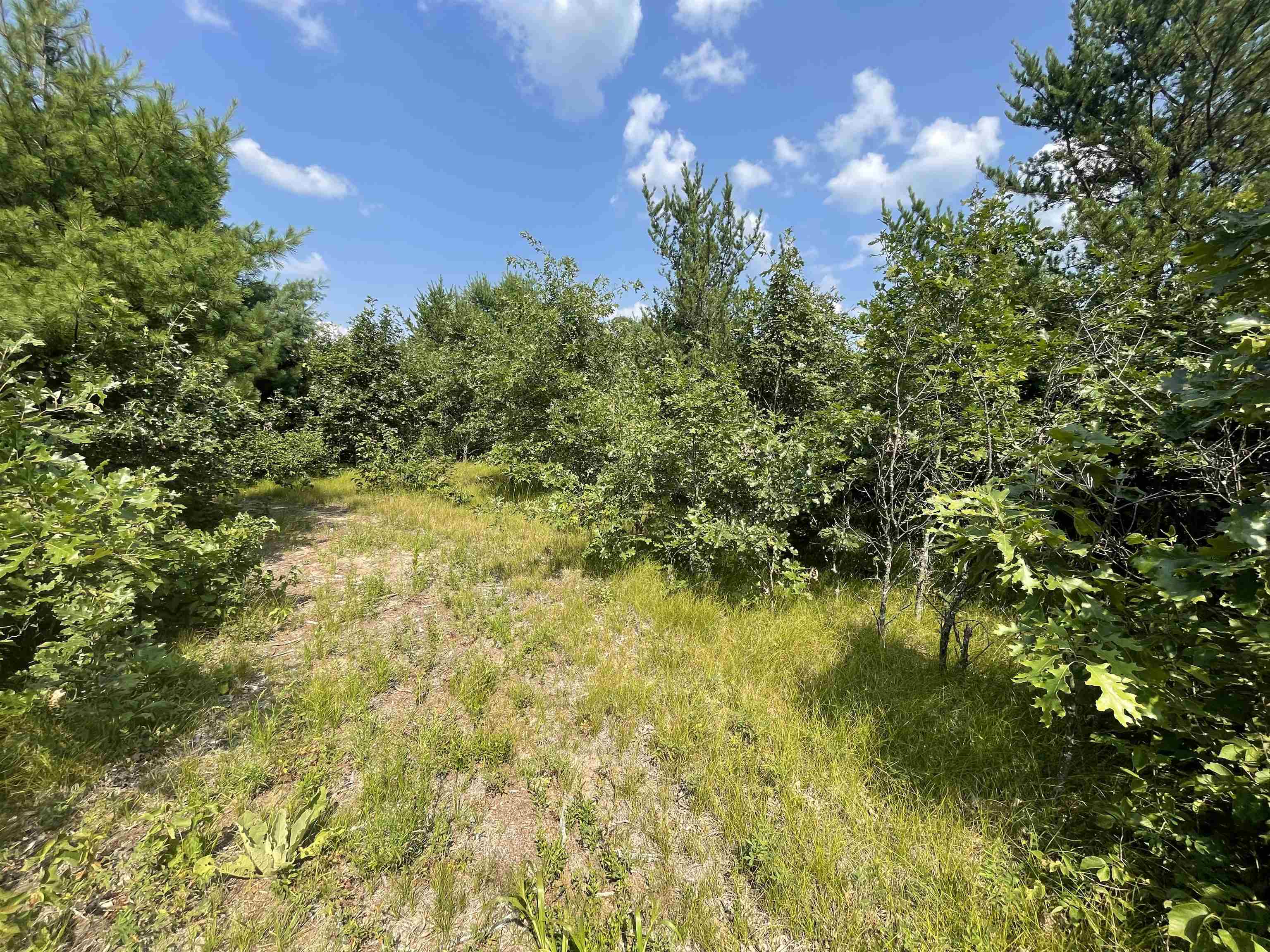 0 State Highway Friendship, WI 53934 - Photo 34 of 39