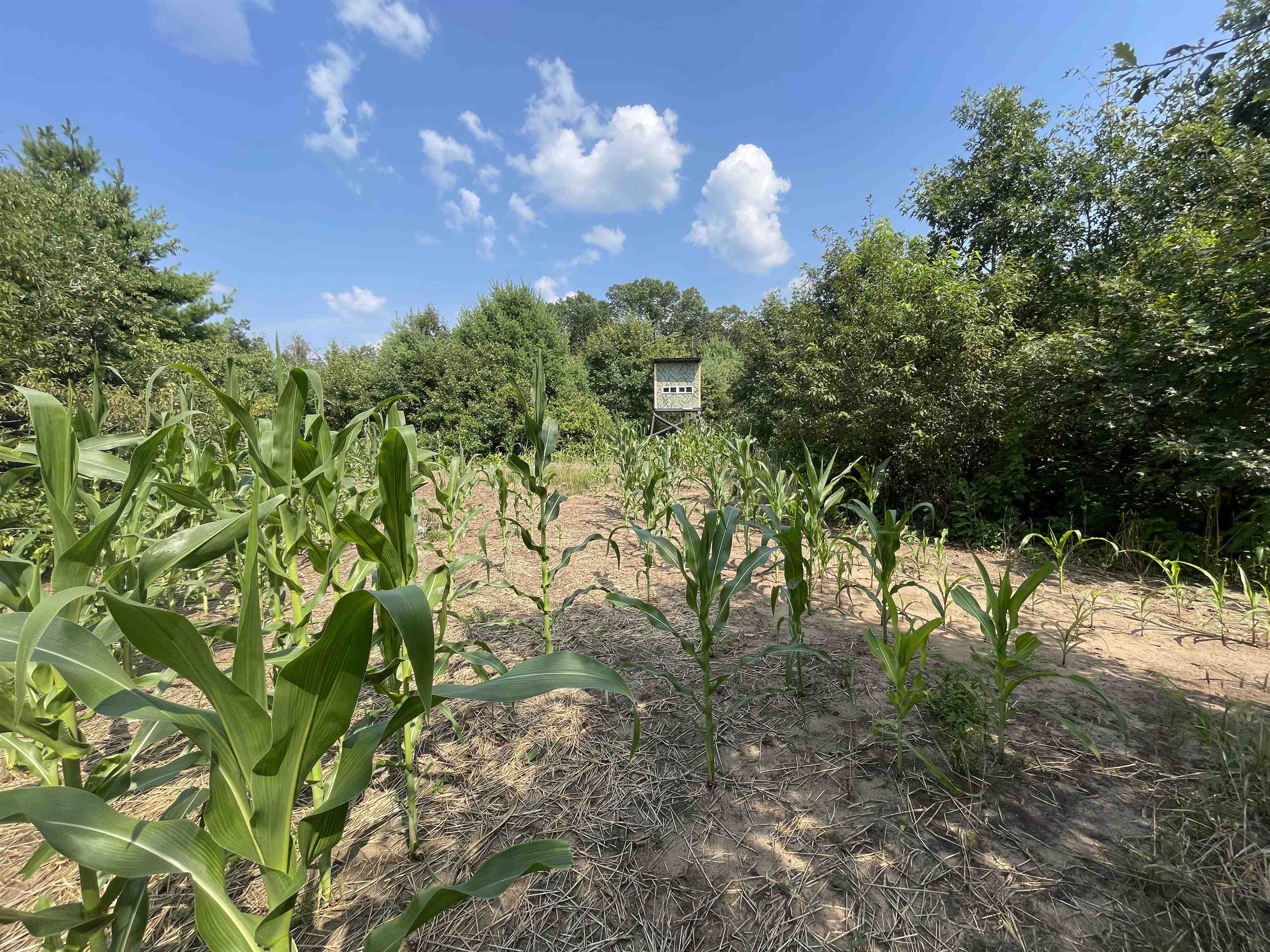 0 State Highway Friendship, WI 53934 - Photo 35 of 39
