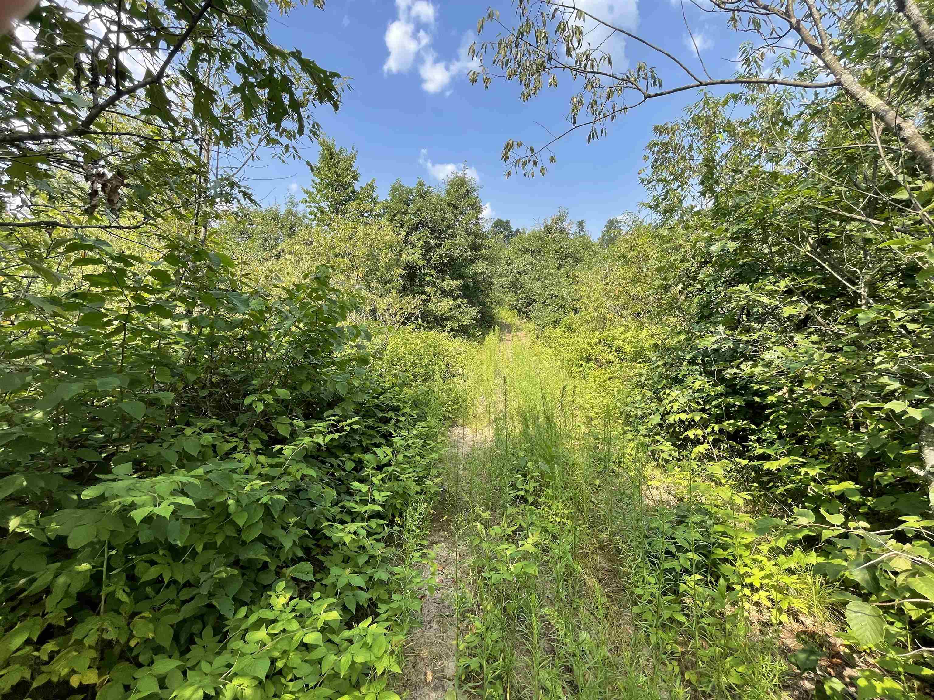 0 State Highway Friendship, WI 53934 - Photo 37 of 39