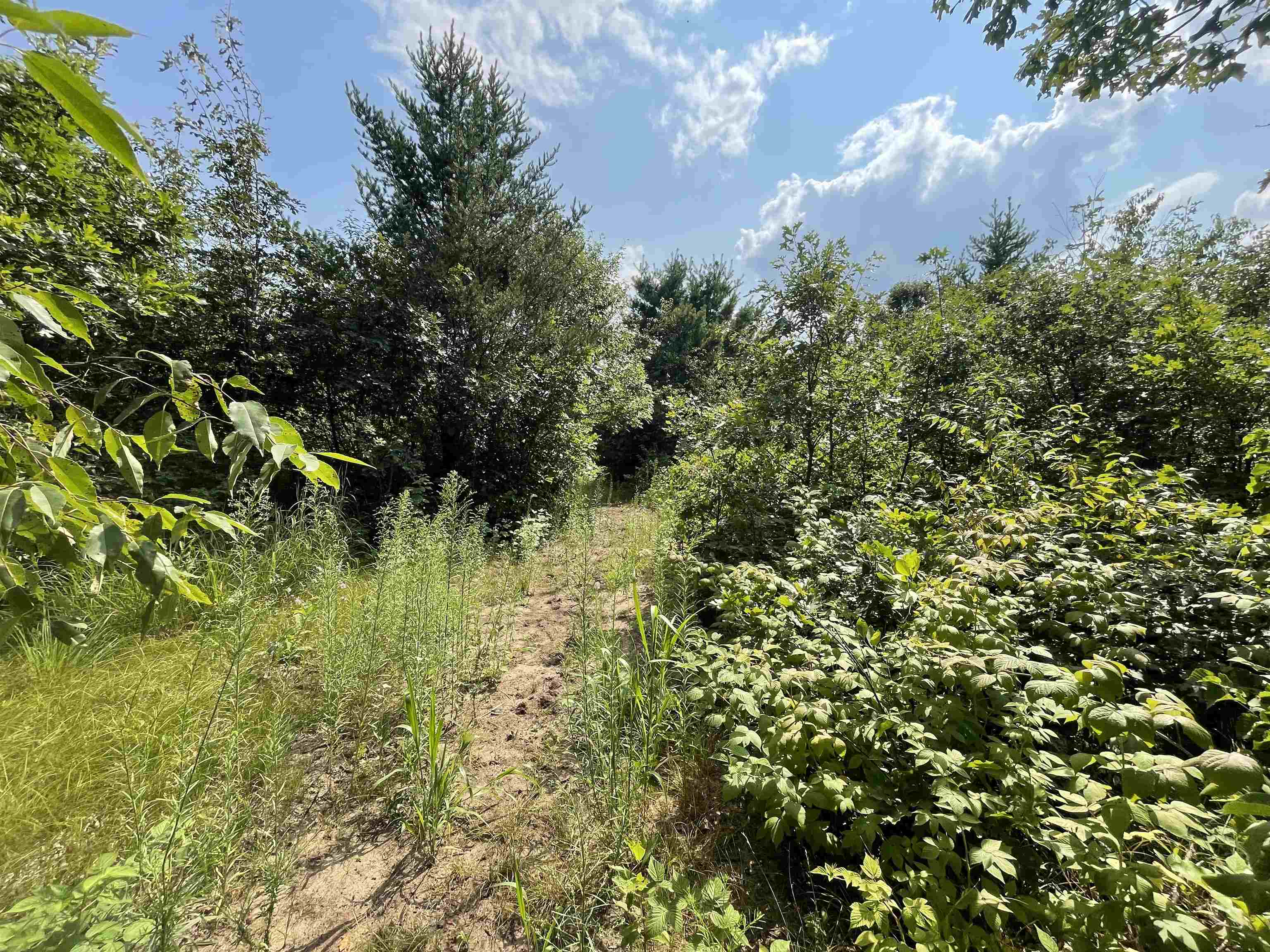 0 State Highway Friendship, WI 53934 - Photo 38 of 39