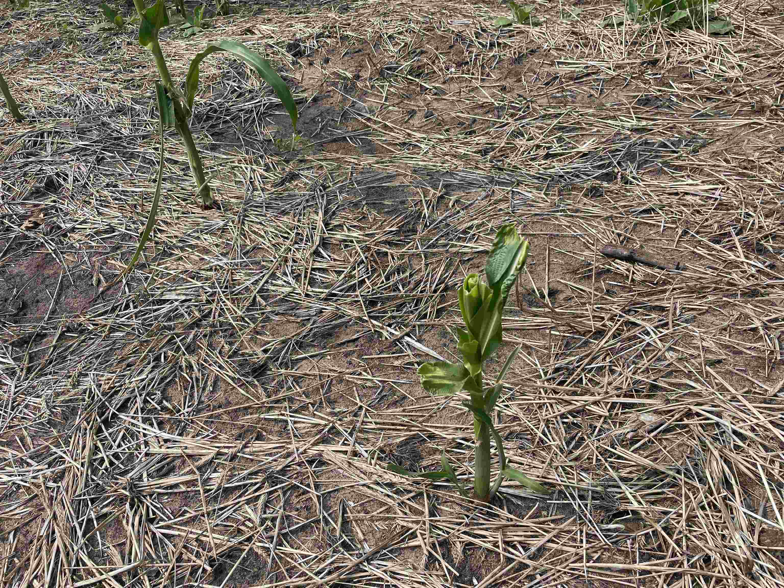 0 State Highway Friendship, WI 53934 - Photo 39 of 39