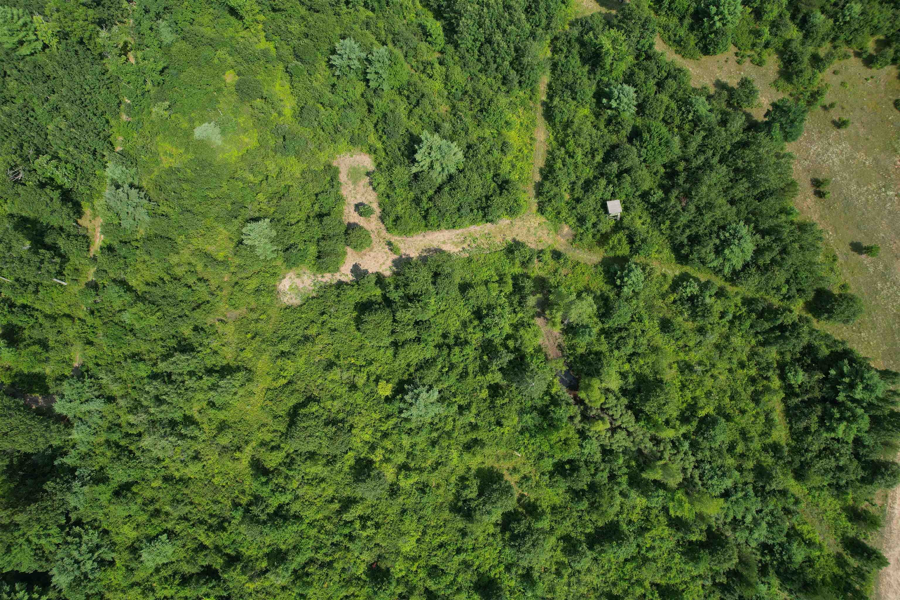 0 State Highway Friendship, WI 53934 - Photo 6 of 39