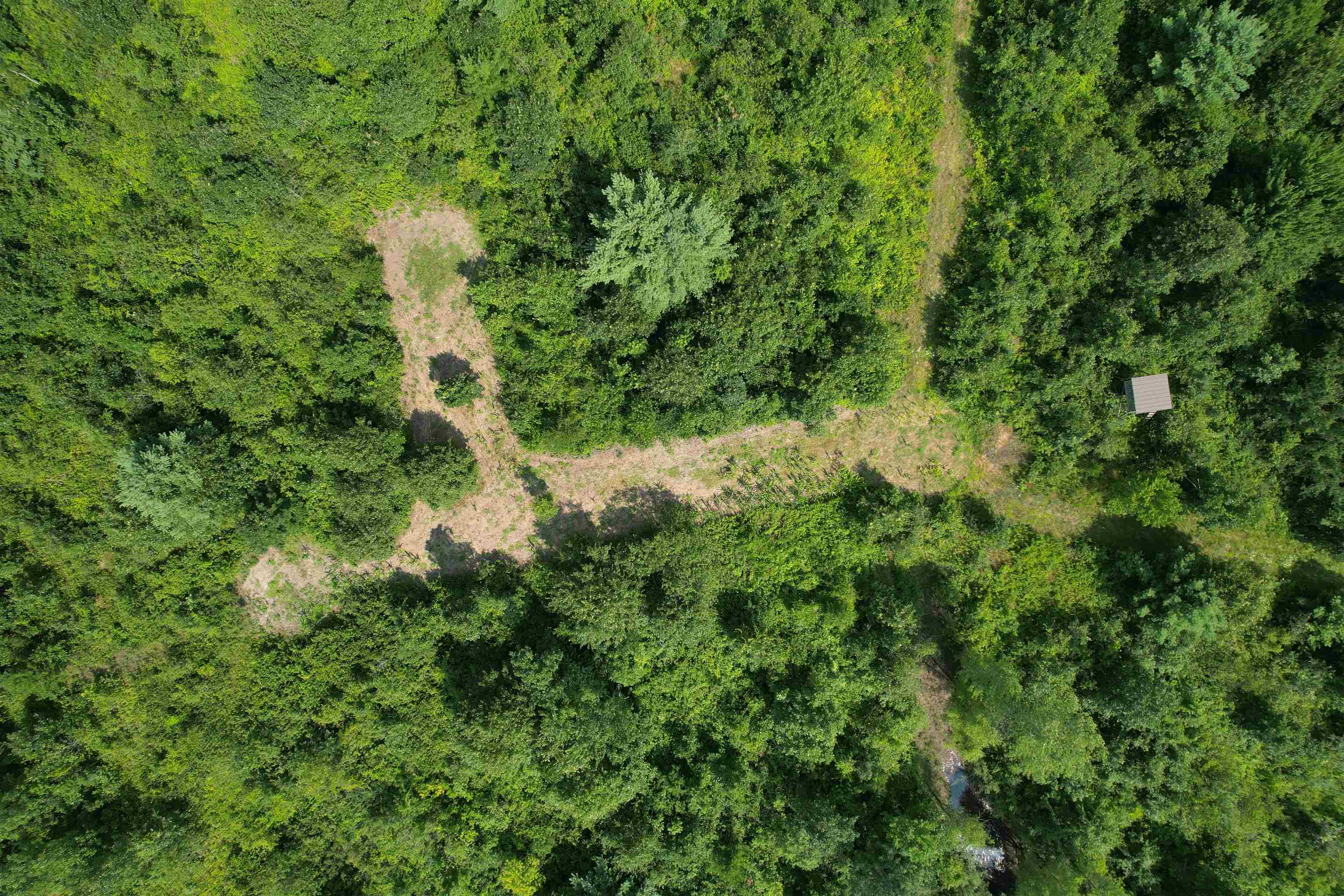 0 State Highway Friendship, WI 53934 - Photo 7 of 39