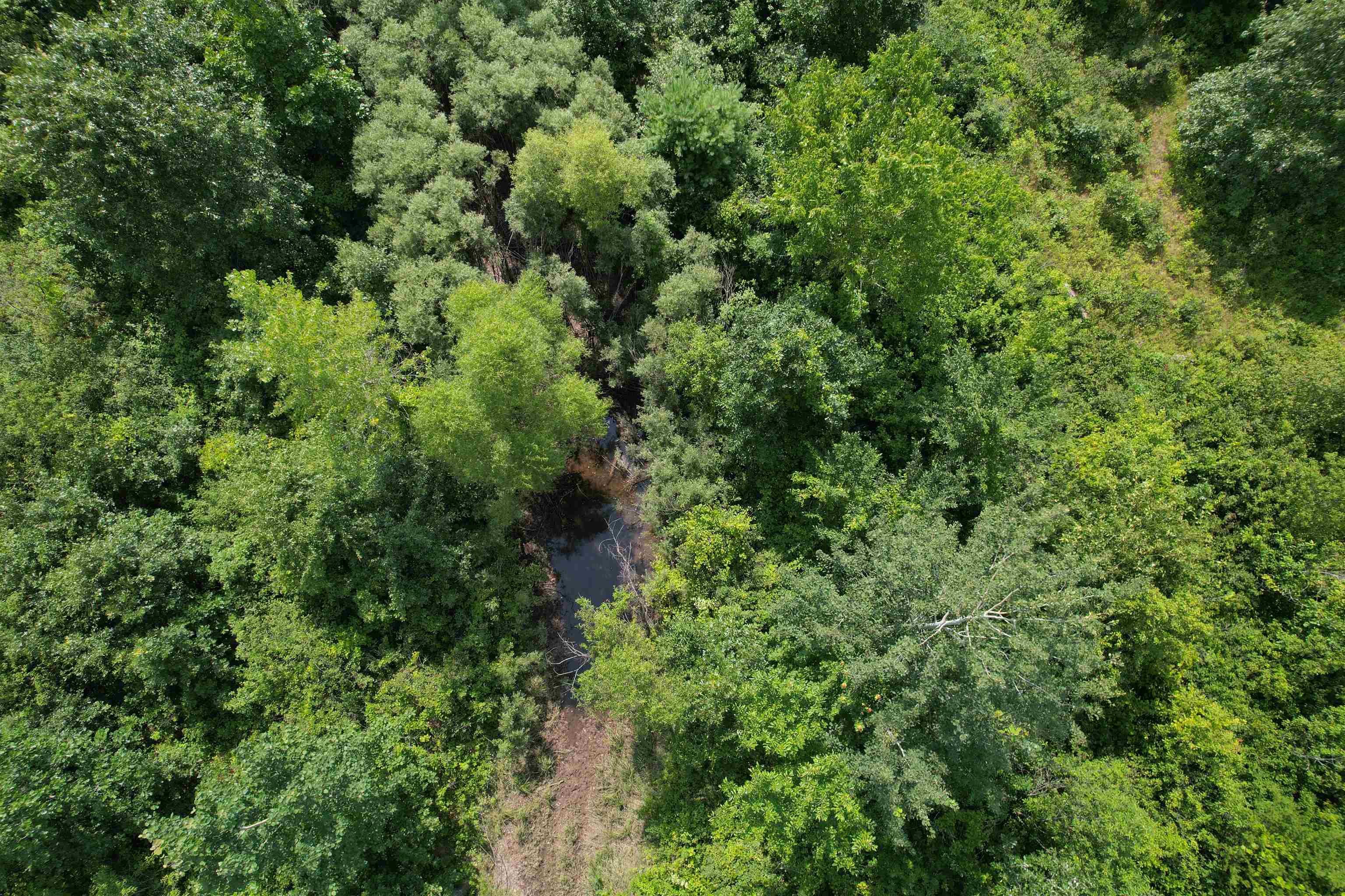 0 State Highway Friendship, WI 53934 - Photo 8 of 39