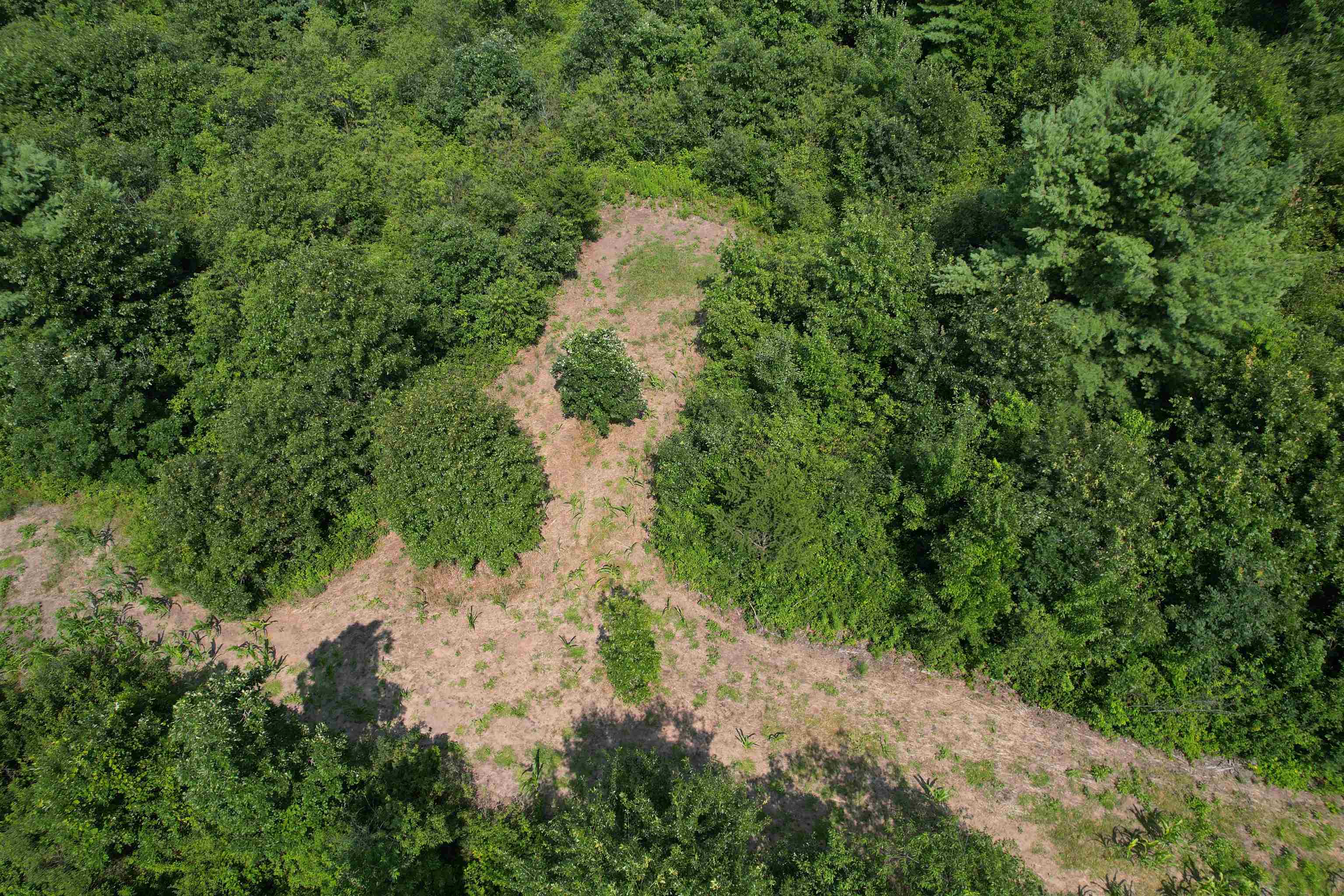 0 State Highway Friendship, WI 53934 - Photo 9 of 39
