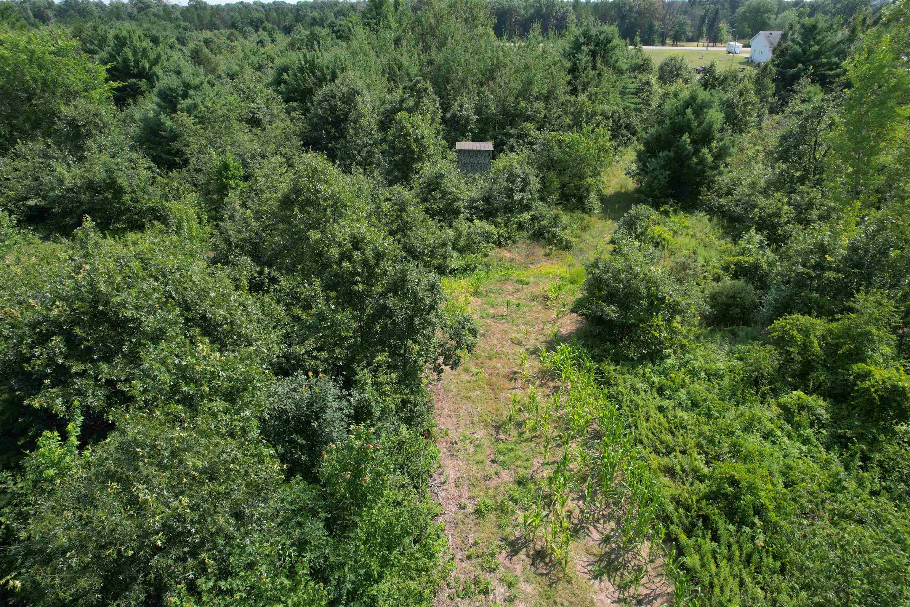 0 State Highway Friendship, WI 53934 - Photo 10 of 39