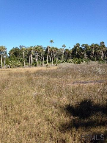 0 St Highway Steinhatchee, FL 32359 - Photo 1 of 1