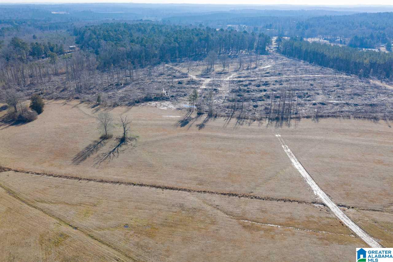 11112 Vance Blocton Road Vance, AL 35490 - Photo 10 of 20