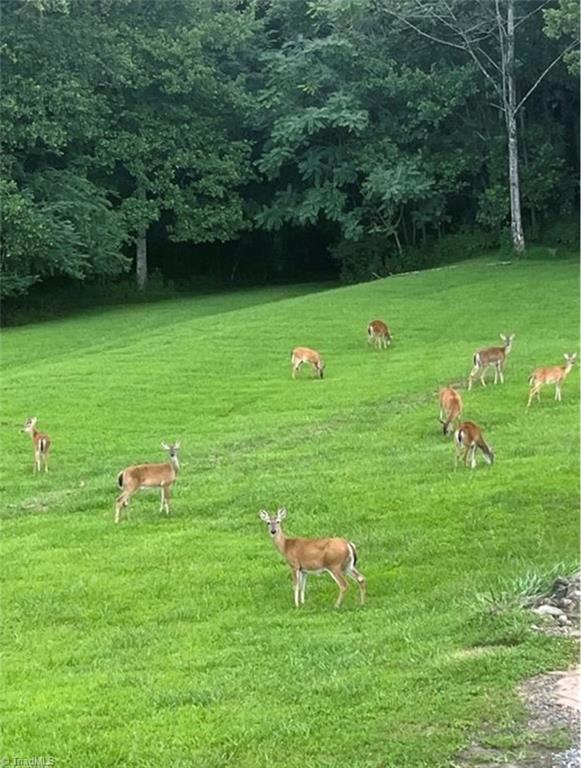 0 Sunset Ridge Road Westfield, NC 27053 - Photo 11 of 20