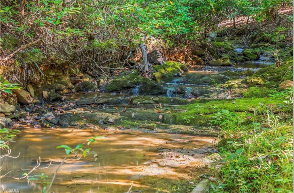 0 Sunset Ridge Road Westfield, NC 27053 - Photo 12 of 20