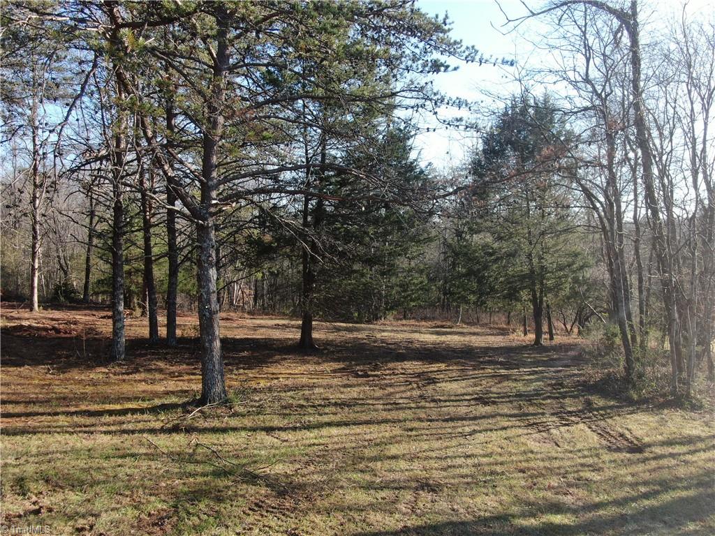 0 Sunset Ridge Road Westfield, NC 27053 - Photo 17 of 20