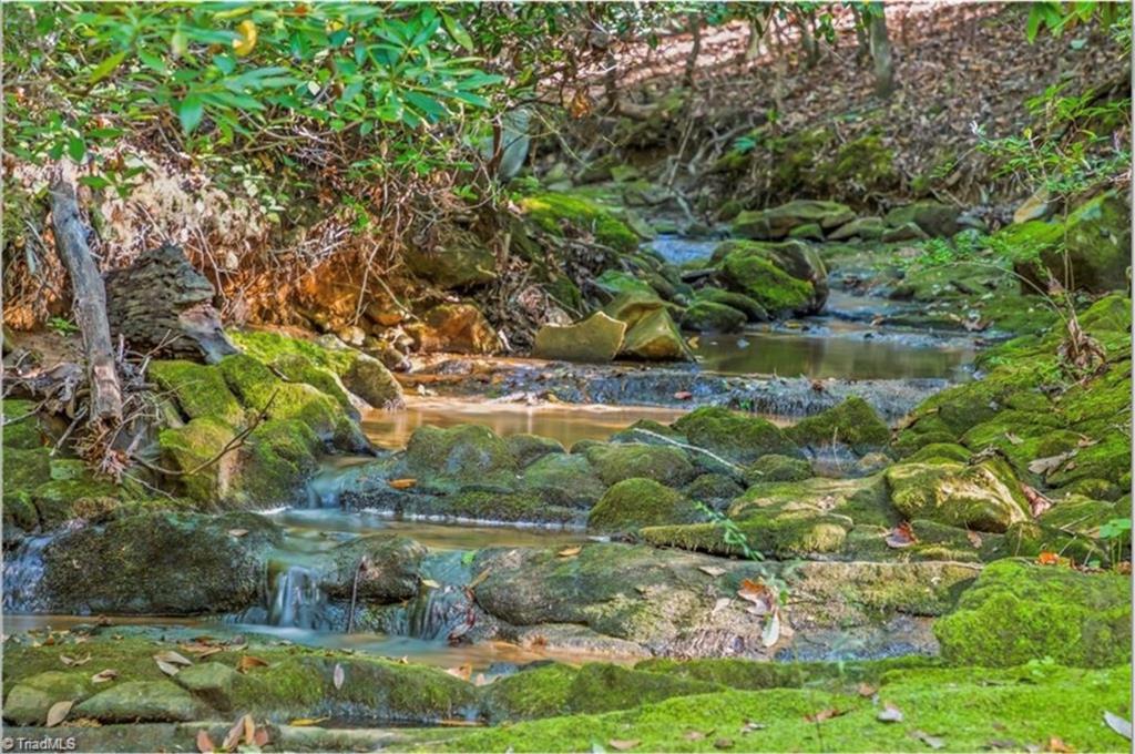 0 Sunset Ridge Road Westfield, NC 27053 - Photo 2 of 20