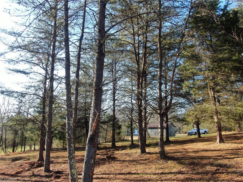 0 Sunset Ridge Road Westfield, NC 27053 - Photo 4 of 20