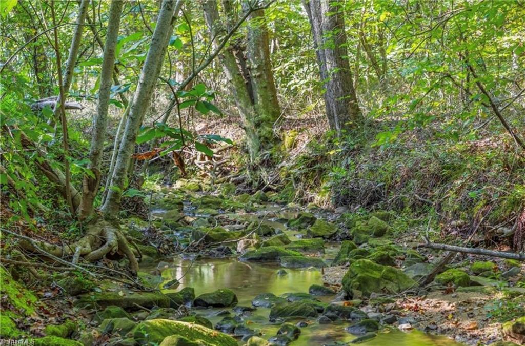 0 Sunset Ridge Road Westfield, NC 27053 - Photo 5 of 20