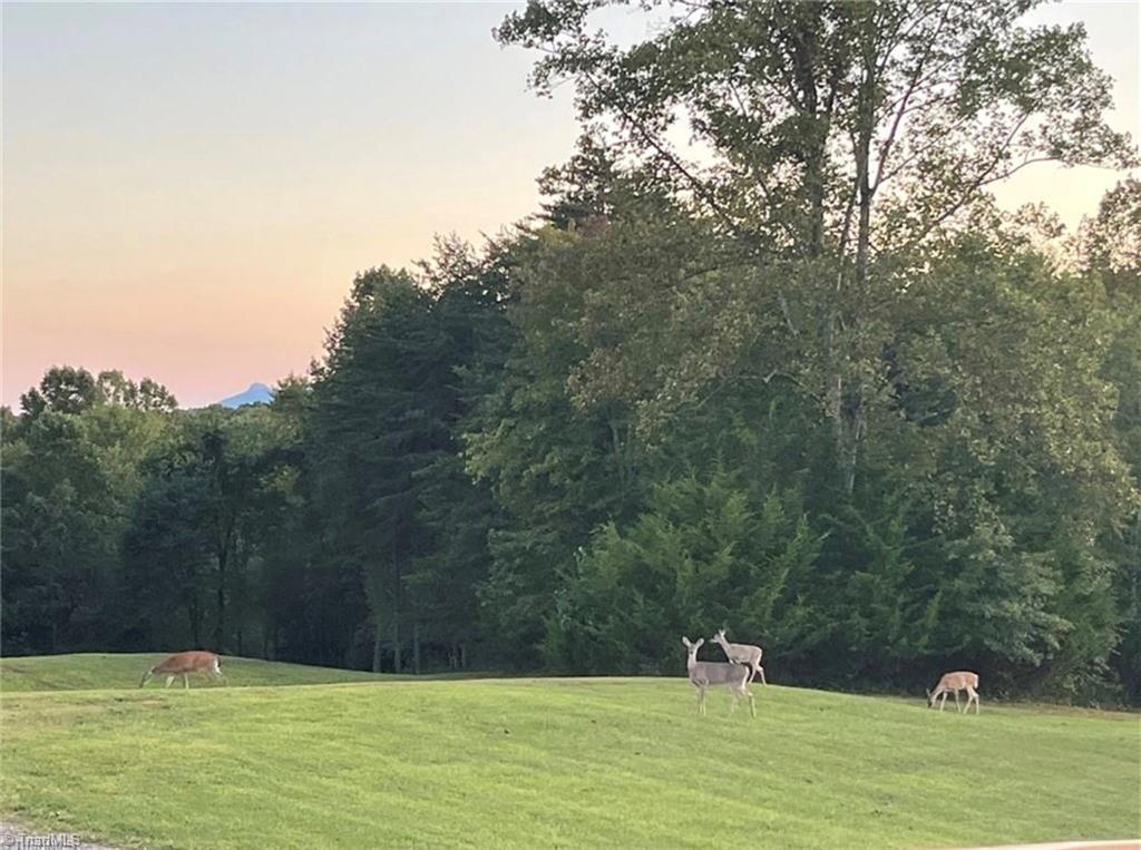 0 Sunset Ridge Road Westfield, NC 27053 - Photo 6 of 20