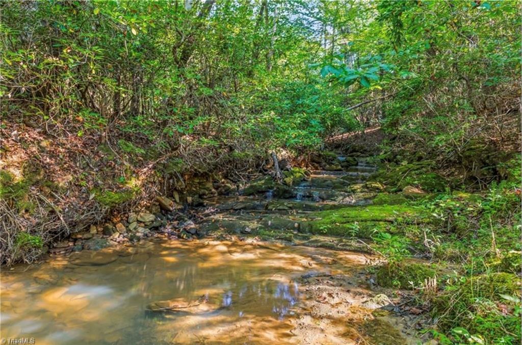 0 Sunset Ridge Road Westfield, NC 27053 - Photo 8 of 20