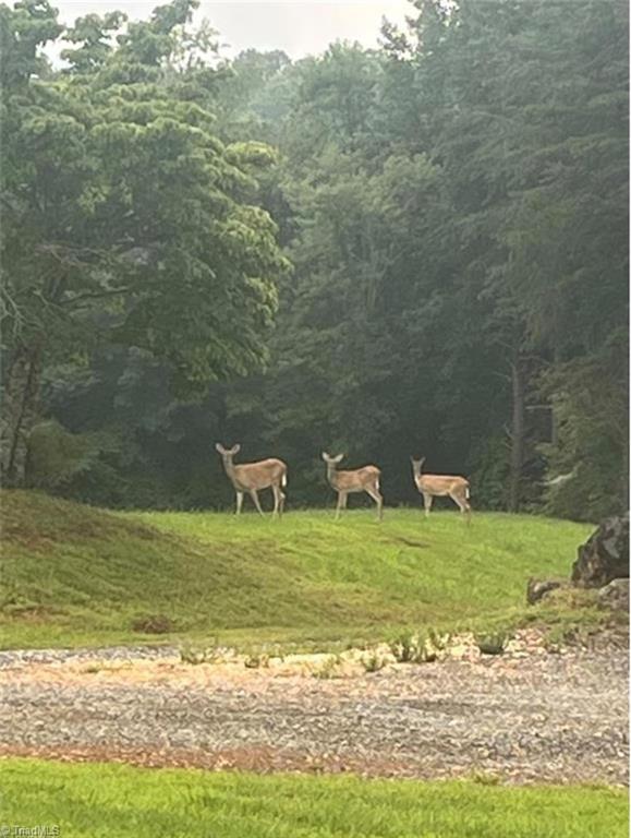 0 Sunset Ridge Road Westfield, NC 27053 - Photo 9 of 20