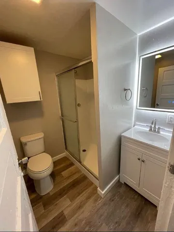 a view of empty room with windows and fireplace