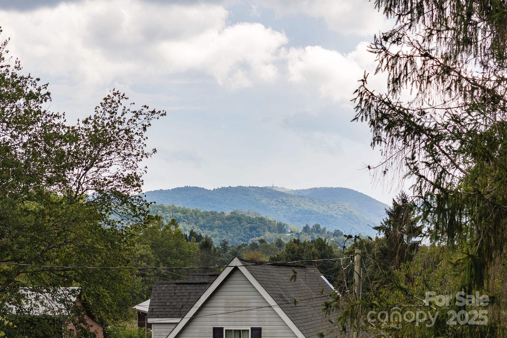 26 Harris Road Fairview, NC 28730 - Photo 12 of 48 Gallery Image 12