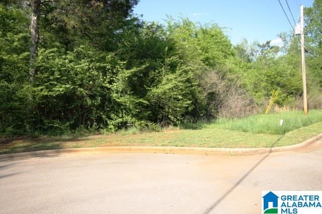 0 Almaroad Place Southwest, Unit 107 Jacksonville, AL 36265 - Photo 25 of 31