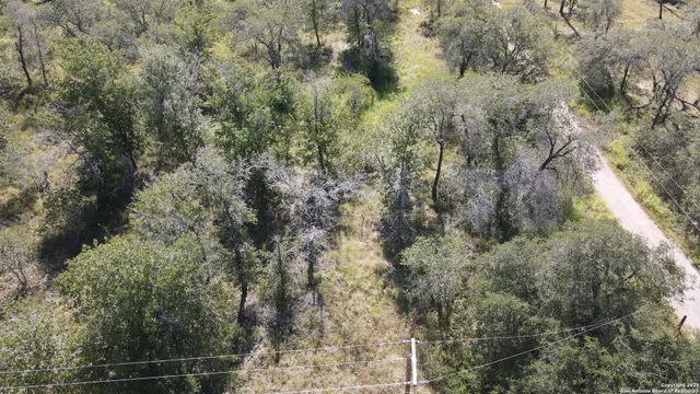 a view of a forest with lots of trees