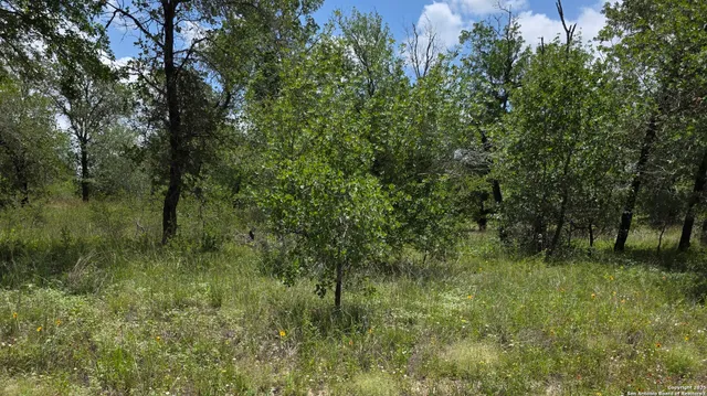 a view of a green field with lots of bushes