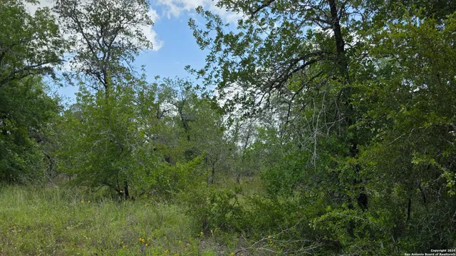 a view of a lake and lush green forest