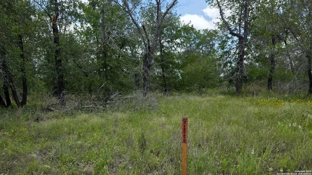 a view of a green field with lots of bushes