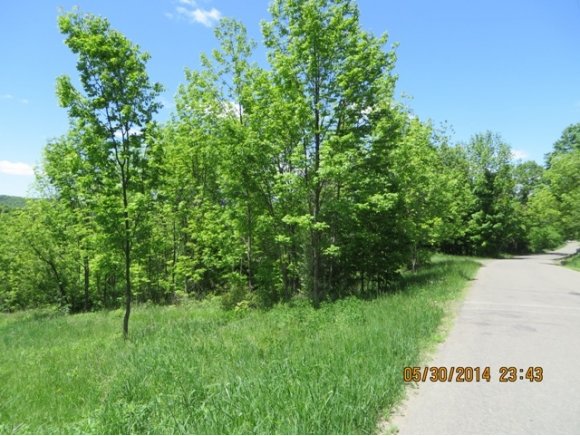 237 Underwood Road Vestal, NY 13850 - Photo 3 of 5