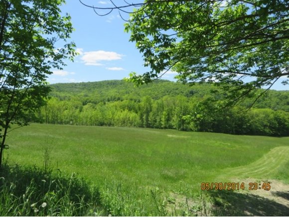 237 Underwood Road Vestal, NY 13850 - Photo 5 of 5