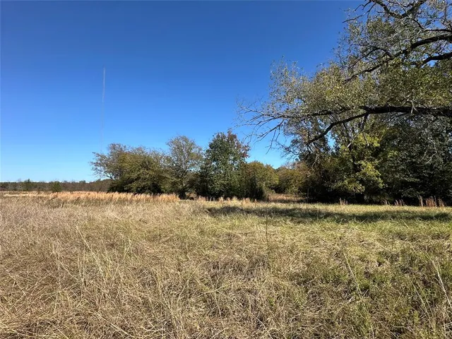 a view of a field with an ocean view