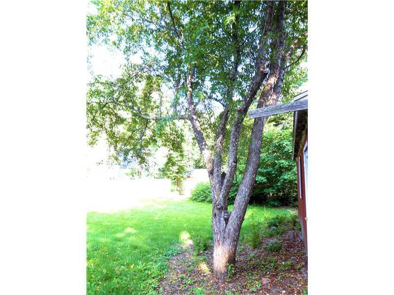 401 Chicopee Road Buxton, ME 04093 - Photo 27 of 34 Yard/Garden.