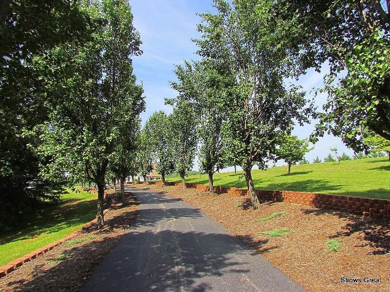 5563 Alean Road Boones Mill, VA 24065 - Photo 30 of 32 Paved Drive