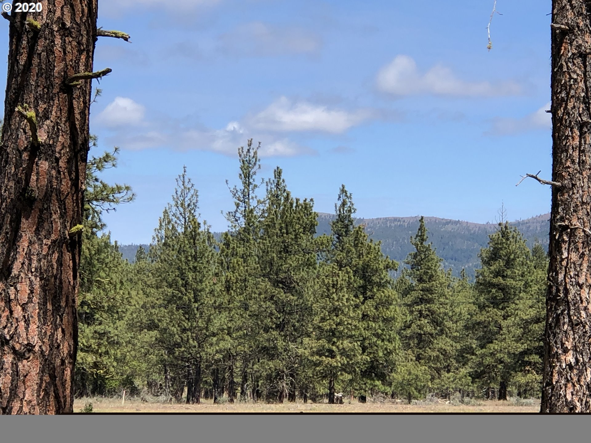 18 Lee Road Goldendale, WA 98620 - Photo 8 of 18 Gallery Image 8