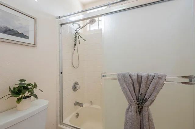 a bathroom with a shower and a plant