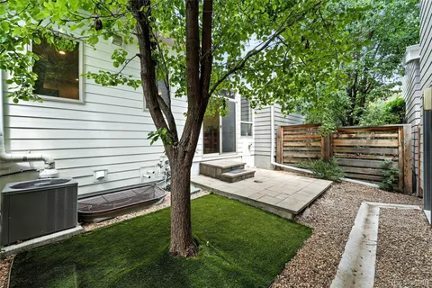 a view of a backyard