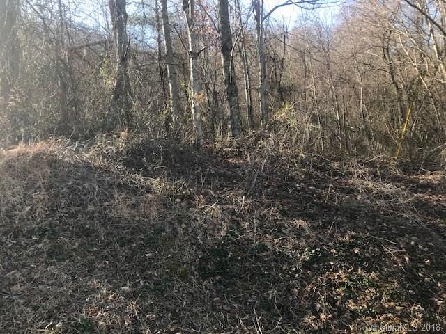Lot 3 Hunters Ridge Road Canton, NC 28716 - Photo 3 of 11 a view of forest