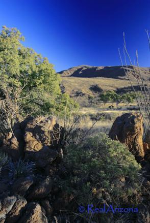 0 Grosvenor Way Rio Rico, AZ 85648 - Photo 10 of 10