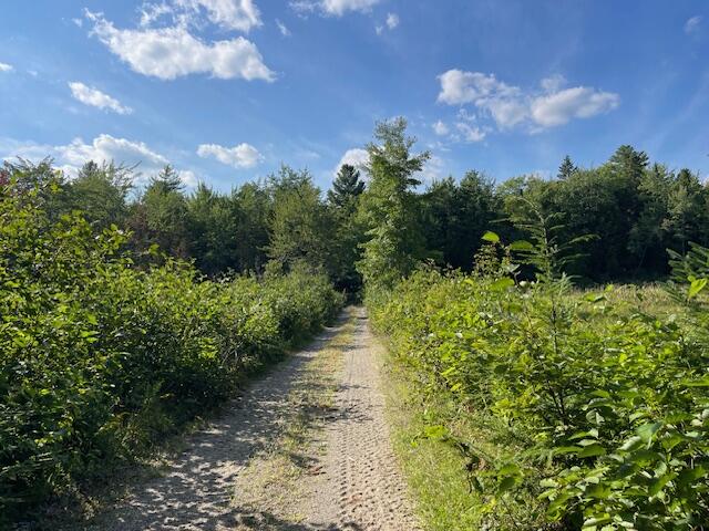 69 K Christmas Cove Road Crawford, ME 04694 - Photo 17 of 18 IMG_2597