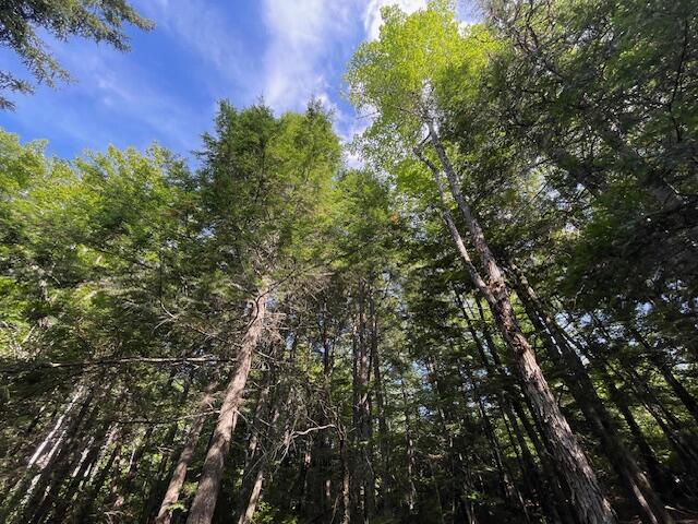 69 K Christmas Cove Road Crawford, ME 04694 - Photo 2 of 18 IMG_2594 (1)