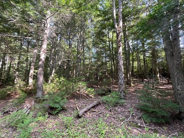 69 K Christmas Cove Road Crawford, ME 04694 - Photo 4 of 18 IMG_2591