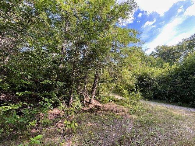 69 K Christmas Cove Road Crawford, ME 04694 - Photo 5 of 18 IMG_2589