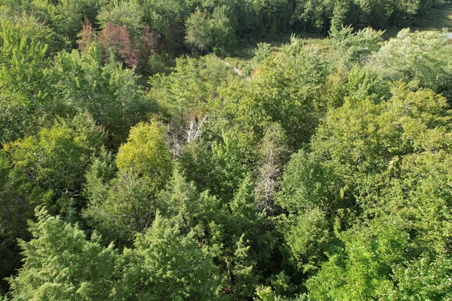 $24,900 | 69 K Christmas Cove Road, Crawford, ME 04694